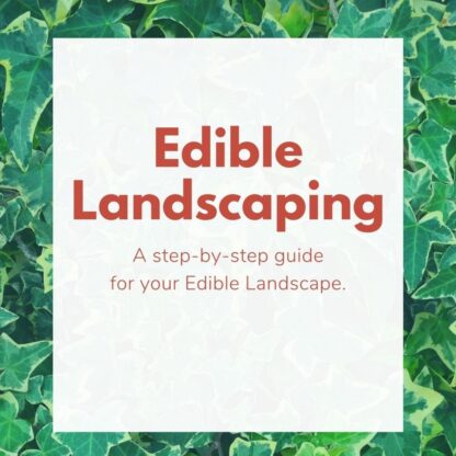 edible landscaping ebook cover