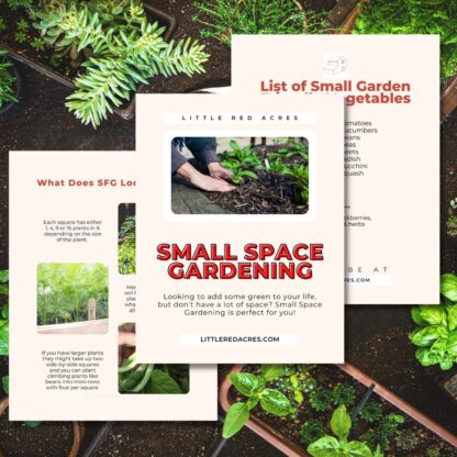 small space garden sample pages