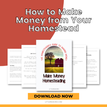 page samples from How to make money from your homestead ebook