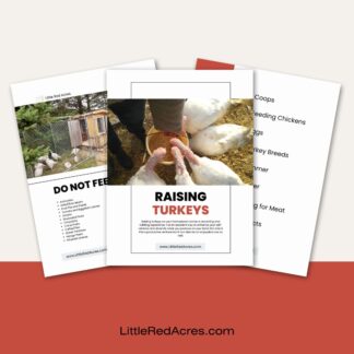 Raising Turkeys Ebook page samples