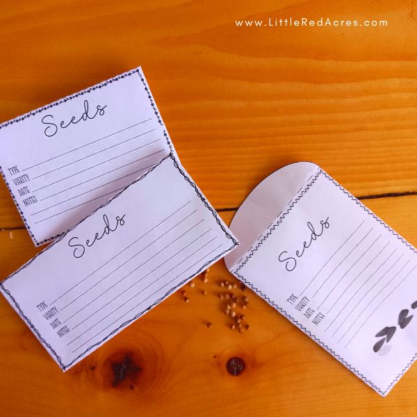 Seed Packets for Seed Saving (1)