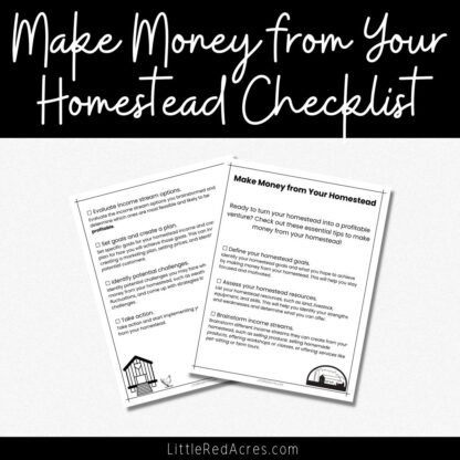 Make Money from Your Homestead Checklist - samples