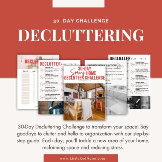 30-Day declutter challenge product mockup